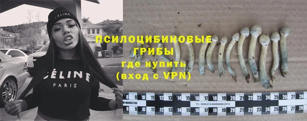 тгк Богданович