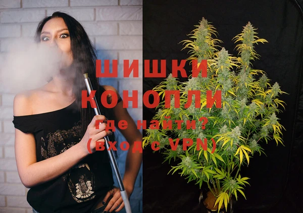 тгк Богданович