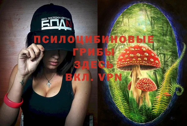 тгк Богданович