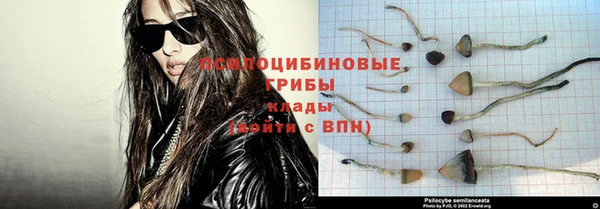 соль ск Богородицк